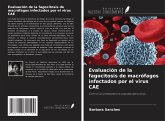 Evaluación de la fagocitosis de macrófagos infectados por el virus CAE