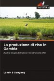 La produzione di riso in Gambia La produzione di riso in Gambia