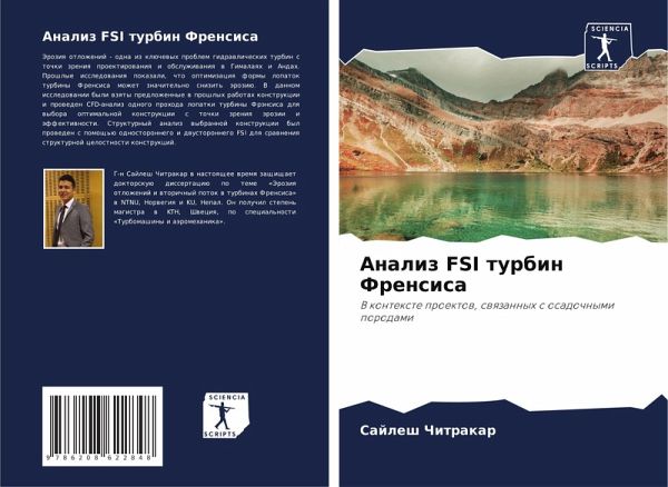 Analiz FSI turbin Frensisa