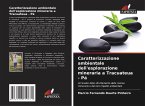 Caratterizzazione ambientale dell'esplorazione mineraria a Tracuateua - Pá