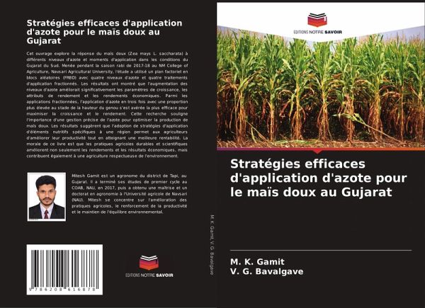Stratégies efficaces d'application d'azote pour le maïs doux au Gujarat
