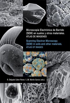 Cover Microscopia Electrónica de Barrido (SEM) en suelos y otros materiales = Scanning Electron Microscopy (SEM) in soils and otrher materials