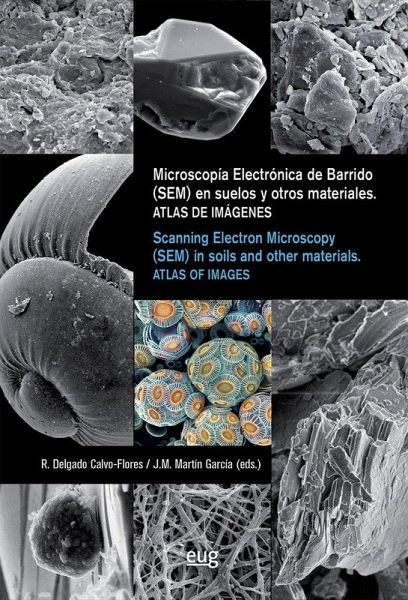 Microscopia Electrónica de Barrido (SEM) en suelos y otros materiales = Scanning Electron Microscopy (SEM) in soils and otrher materials Microscopia Electrónica de Barrido (SEM) en suelos y otros materiales = Scanning Electron Microscopy (SEM) in soils and otrher materials