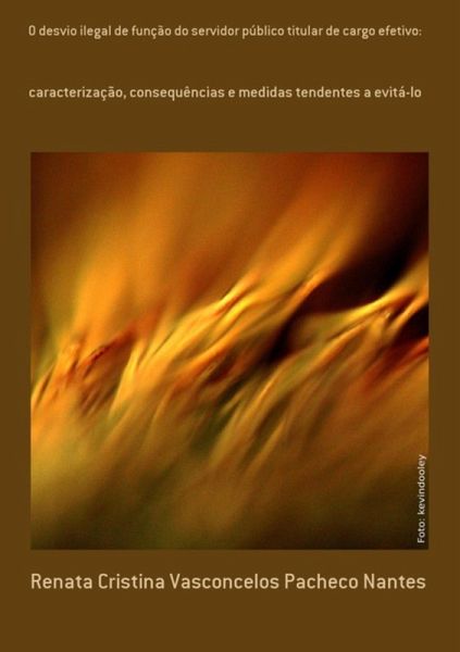 O Desvio Ilegal De Função Do Servidor Público Titular De Cargo Efetivo: (eBook, PDF)
