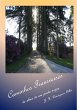 Caminhos Transversos (eBook, PDF) - Bild 1