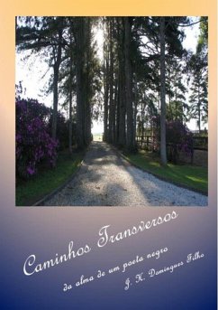 Cover Caminhos Transversos (eBook, PDF)