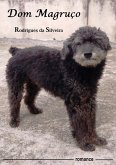 Dom Magruço (eBook, PDF)