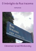 O Imbróglio Da Rua Iracema (eBook, PDF)