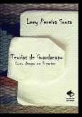 Teorias De Guardanapo (eBook, PDF)