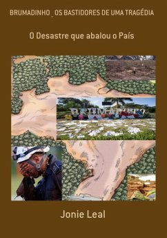 Cover Brumadinho _ Os Bastidores De Uma Tragédia (eBook, PDF)