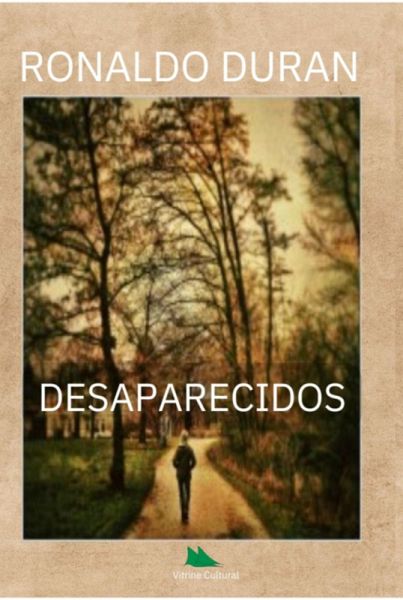 Desaparecidos (eBook, PDF)