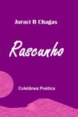 Rascunho (eBook, PDF)