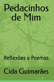 Pedacinhos De Mim (eBook, PDF)
