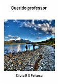 Querido Professor (eBook, PDF)