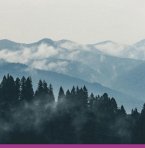 Por Trás De Uma Perda (eBook, PDF)