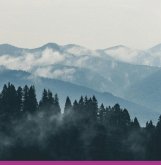 Por Trás De Uma Perda (eBook, PDF) Por Trás De Uma Perda (eBook, PDF)