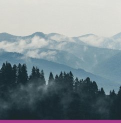 Cover Por Trás De Uma Perda (eBook, PDF)