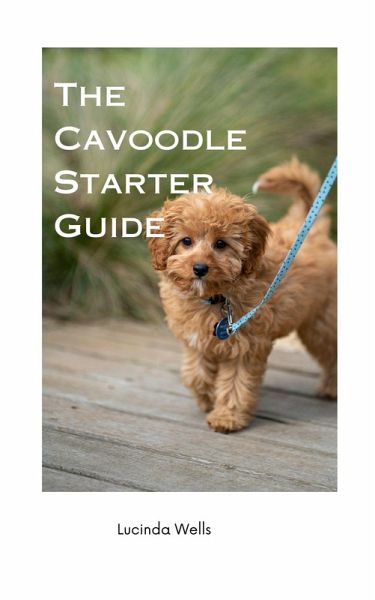 The Cavoodle Starter Guide (eBook, ePUB)