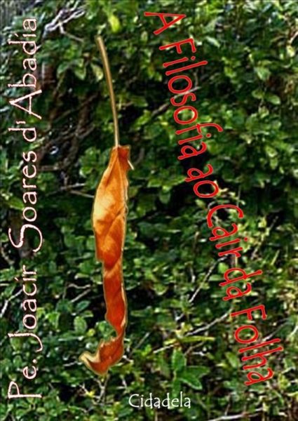 A Filosofia Ao Cair Da Folha (eBook, PDF)