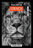 Pelas Lentes Da Graça (eBook, PDF)