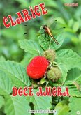 Clarice Doce Amora (eBook, PDF)