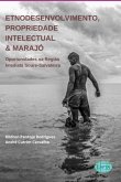 Etnodesenvolvimento, Propriedade Intelectual & Marajó (eBook, PDF)