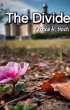 The Divide (eBook, ePUB) - Bild 1