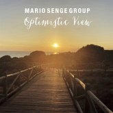 Optimistic View Optimistic View