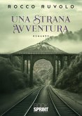Una strana avventura (eBook, ePUB)