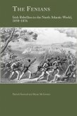 The Fenians (eBook, PDF)
