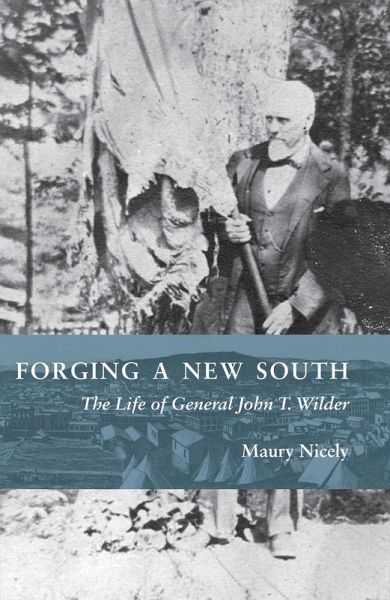 Forging a New South (eBook, PDF)