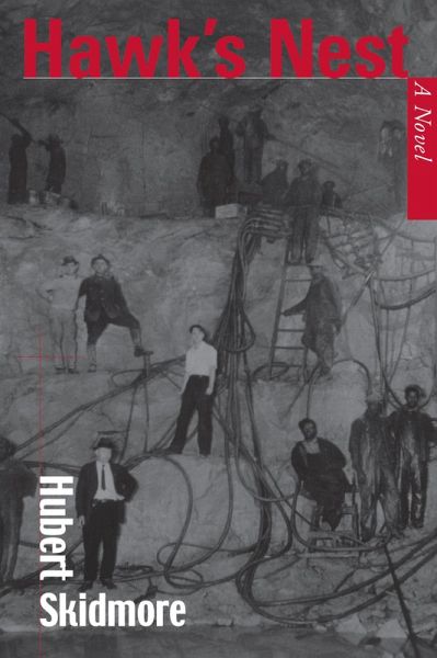 Hawk's Nest (eBook, PDF)