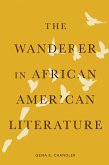The Wanderer in African American Literature (eBook, PDF)