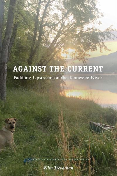 Against the Current (eBook, PDF)
