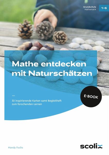 Mathe entdecken mit Naturschätzen (eBook, PDF)