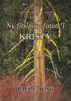 Ny fitsipika fototr'i Kristy - Ny fanekem-pinoan'ny Apostoly (eBook, ePUB) - Jong, Paul C.