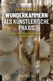 wunderkammern als künstlerische Praxis (eBook, PDF)