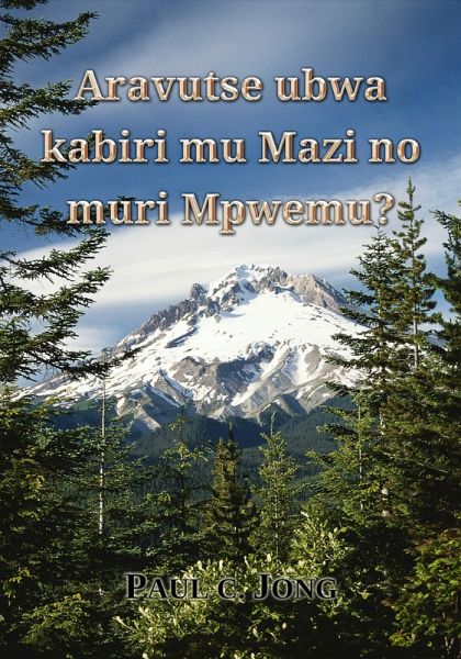 Aravutse ubwa kabiri mu Mazi no muri Mpwemu? (eBook, ePUB)