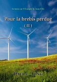 Sermons sur l'Évangile de Jean (VII) - Pour la brebis perdue (II) (eBook, ePUB)