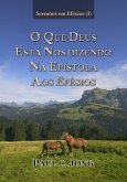 Sermões em Efésios (I)- O que Deus Está Nos Dizendo Na Epístola aos Efésios (eBook, ePUB)