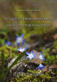 Sermones Sobre Efesios (II) - Lo Que El Dios Trinitario Ha Hecho Por Nosotros (eBook, ePUB)