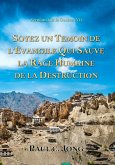 Sermons sur la Genèse (VI) - Soyez Un Temoin De L'evangile Qui Sauve La Race Humaine De La Destruction (eBook, ePUB)