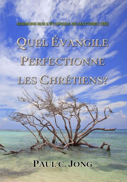 Sermons Sur L'évangile De Matthieu (¿) - Quel Évangile Perfectionne Les Chrétiens? (eBook, ePUB)