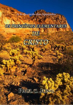 A Fé do Credo dos Apóstolos - OS PRINCÍPIOS ELEMENTARES DE CRISTO (eBook, ePUB) - Jong, Paul C.