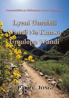 Lyeni Umubili Wandi No Kunwa Umulopa Wandi - Amasambilisho pa Mbilansuma ya kwa Yohane (III) (eBook, ePUB) - Jong, Paul C.