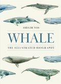 Whale Whale