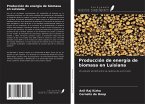 Producción de energía de biomasa en Luisiana