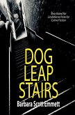 Dog Leap Stairs