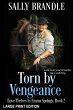 Torn By Vengeance - Bild 1