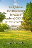 Kudyidzana kweHushumiri hwaJesu nehwaJohane Mubhapatidzi Kwakanyorwa muEvhangeri Ina (eBook, ePUB)